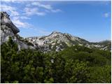 Planina Ravne - Kocbekov dom na Korošici